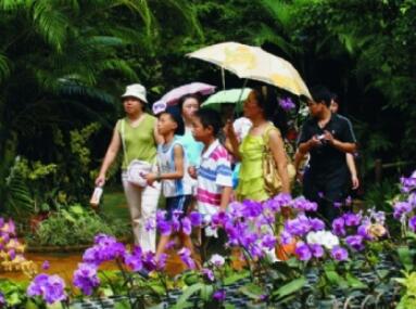 ������̬���԰��