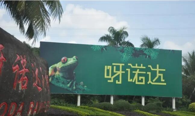 ����ѽŵ�������Ļ���������