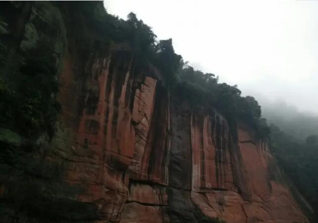 ˮ���Ӿ�����