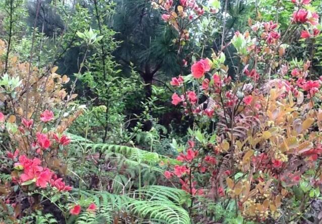 ������˳�ž����