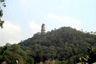 ���ȶ���ɽ��