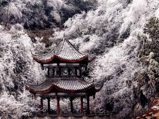 �Ͻڰ���ž飬