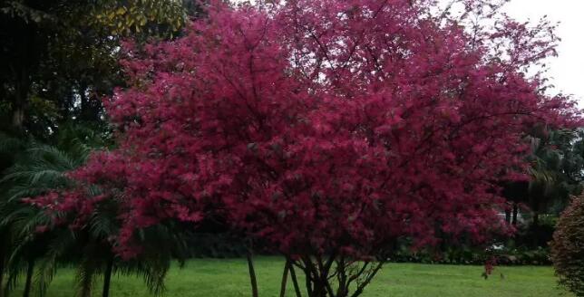 ������Ϫɽ����