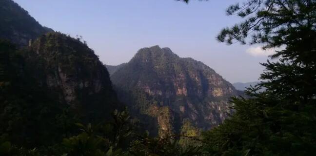 ����������������ɽ��