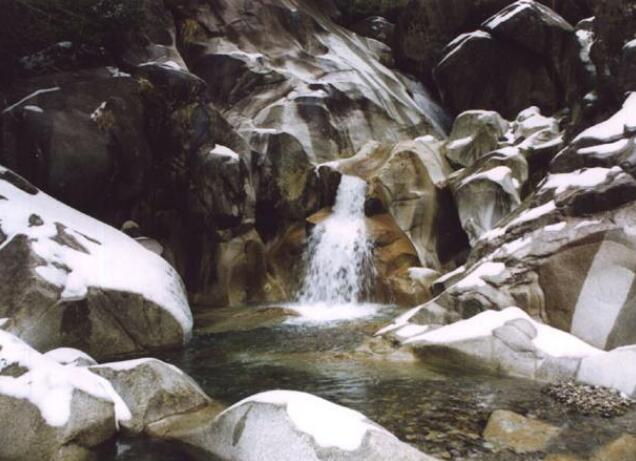 ����ǧ�Ҷ���