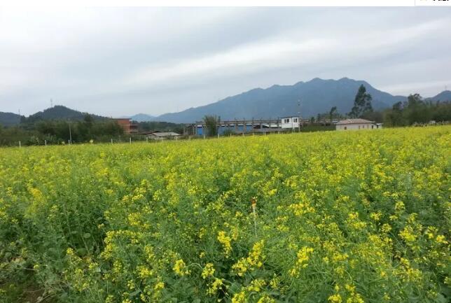 清远牛鱼嘴风景区,