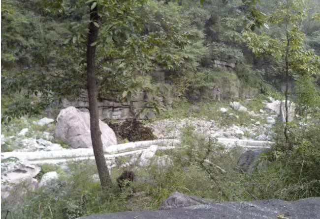 九连山原始森林度假村,