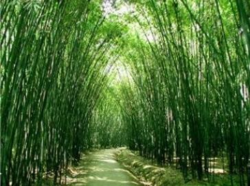 �����񺣴�ۣ�