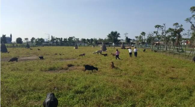 ��ɽ��ˮɭ�ֹ�԰��