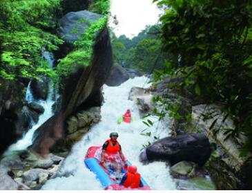 �����Ư����