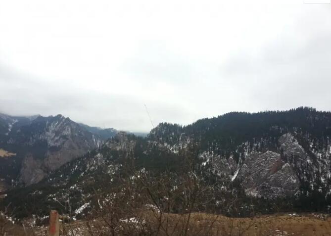 �����Ǿ�����