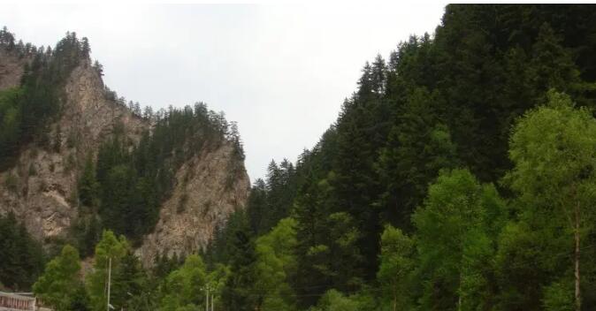 ��³������ɭ�ֹ�԰��