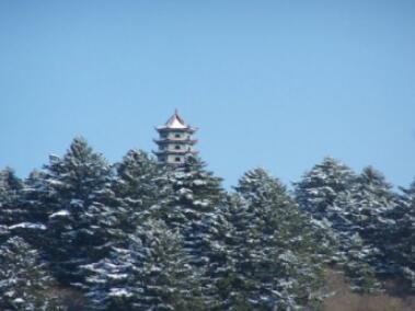 �����ҹ���ɭ�ֹ�԰��