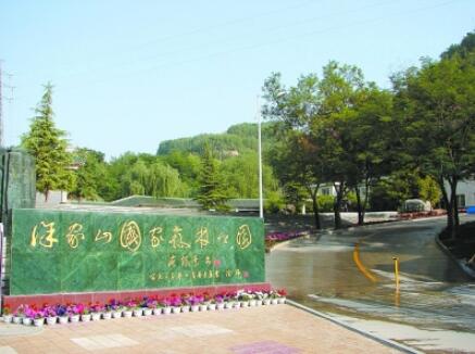 �������ɽ��