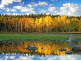 ���࿵������ɽ������