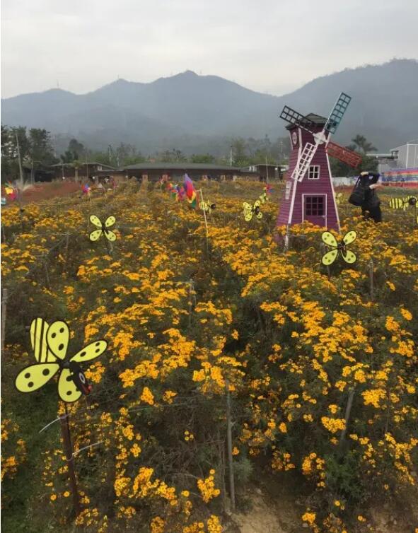 ����ɽ����ɭ�ֹ�԰��