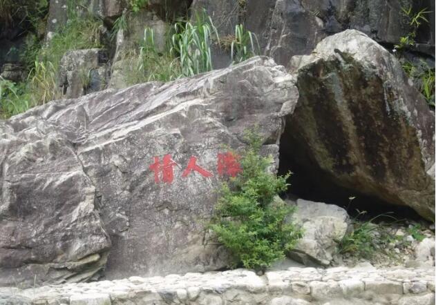 ����Ұɽ�Ⱦ�����