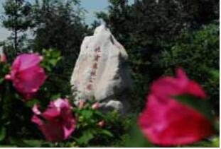 ��������ɭ�ֹ�԰��