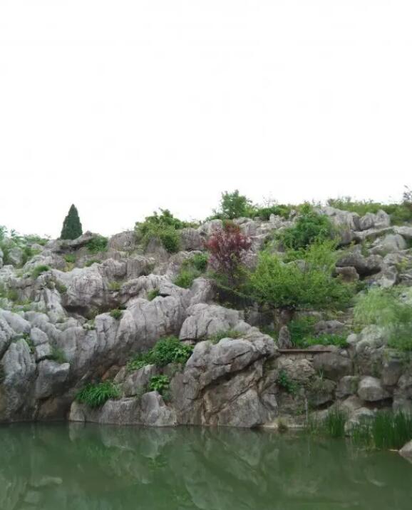 丫山花海石林风景区,