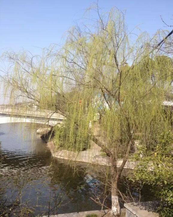 六安万佛湖风景区,