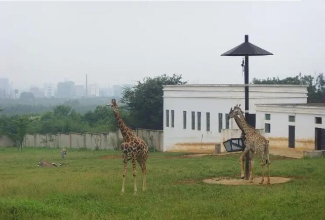 �Ϸ�Ұ������԰��