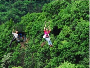 ��̶������