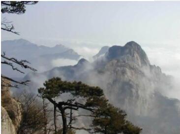 ��ţ����Ϫ��