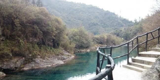 ��ţ���羰����