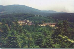 ���ݻʸ�ɽ��