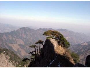 �������ɽ��