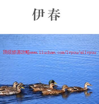 ailvyou999�������ι���    ��20Ԫ