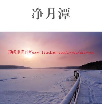 ailvyou997����̶���ι��� ��20Ԫ