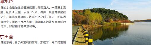 ailvyou997����̶���ι��� ��20Ԫ