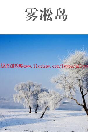 ailvyou996��ڡ�����ι��� ��20Ԫ