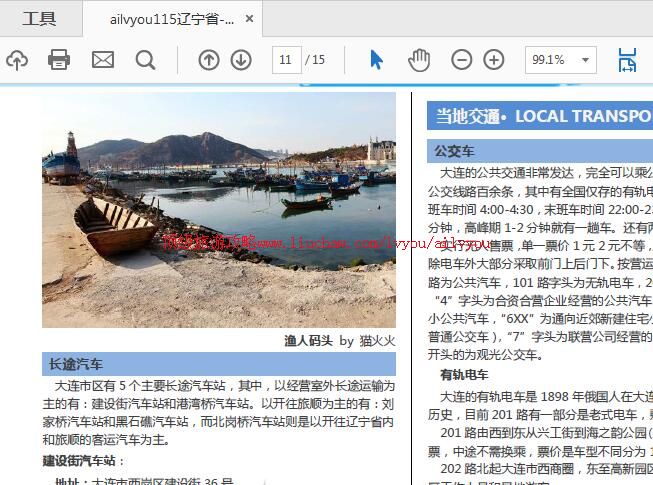 ailvyou991�������ι���  ��35Ԫ