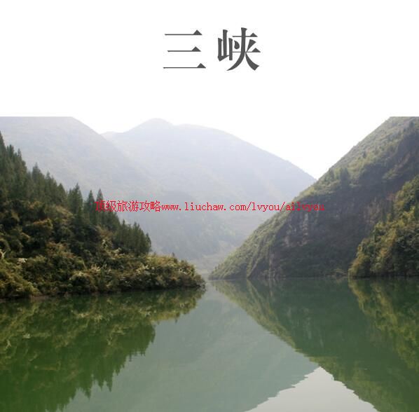 ailvyou988������Ͽ���ι��� ��20Ԫ