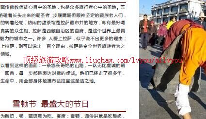 ailvyou984�������ι���     ��35Ԫ