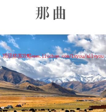 ailvyou982那曲旅游攻略 售20元