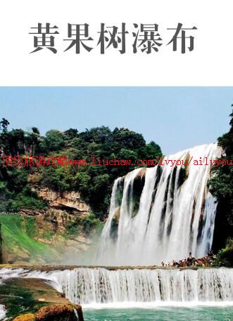 ailvyou977�ƹ������ι���  ��35Ԫ