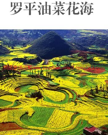 ailvyou971罗平油菜花海旅游攻略 售20元