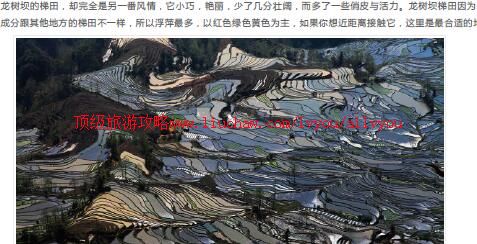 ailvyou970Ԫ�������������ι���  ��20Ԫ