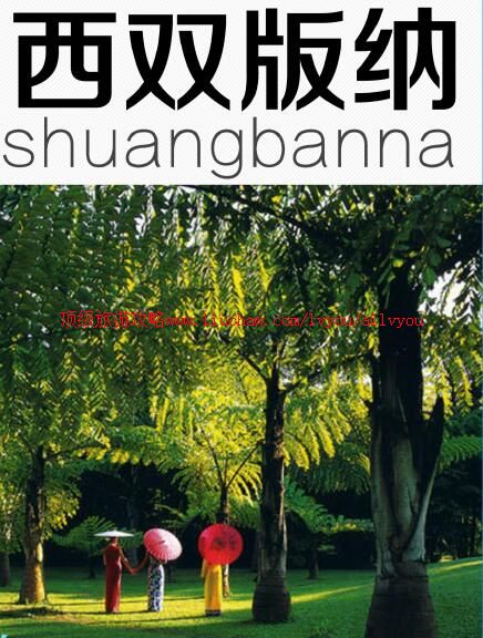 ailvyou968��˫�������ι���        ��35Ԫ