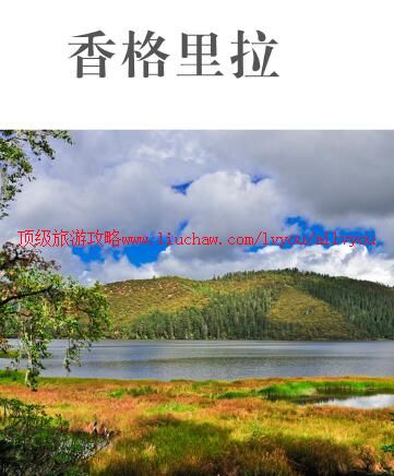 ailvyou967����������ι���        ��35Ԫ