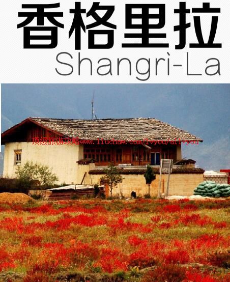 ailvyou967����������ι���        ��35Ԫ