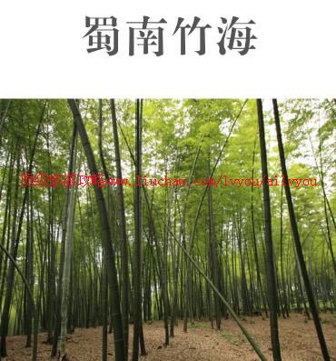 ailvyou956���������ι���  ��35Ԫ