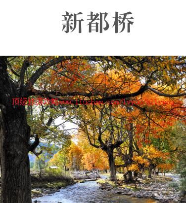 ailvyou952�¶������ι���     ��20Ԫ