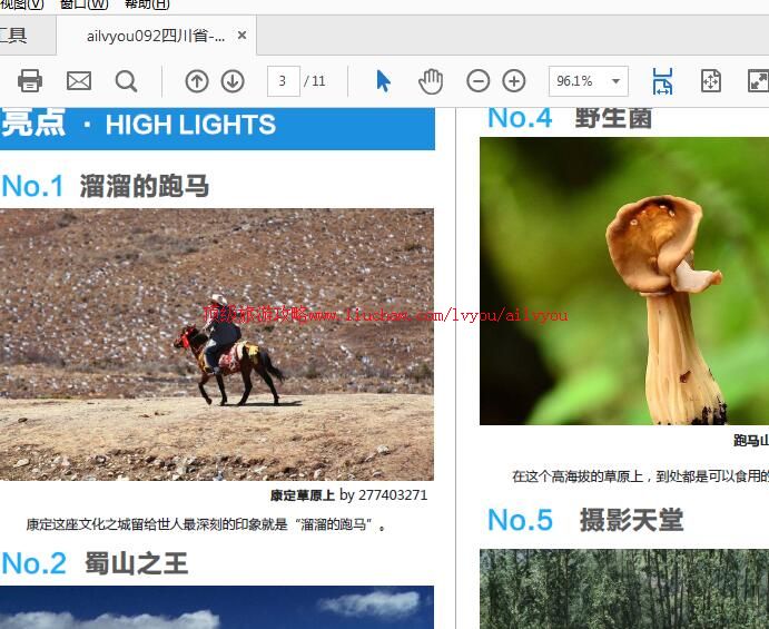 ailvyou941�������ι���        ��35Ԫ