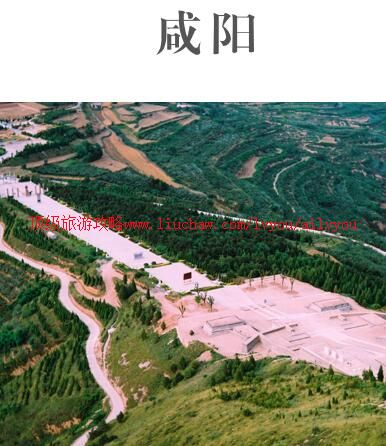 ailvyou931�������ι���               ��20Ԫ