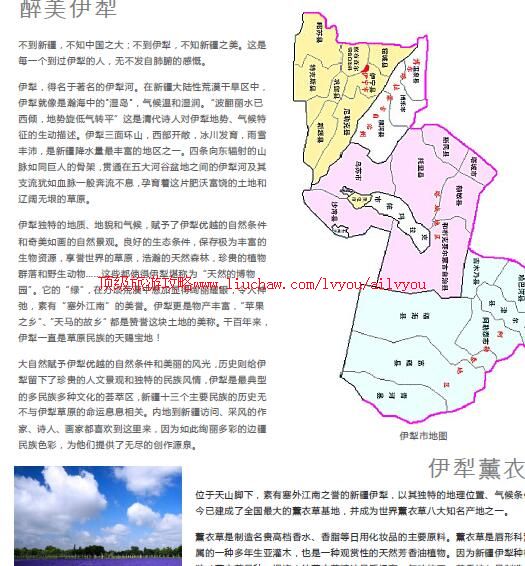 ailvyou920�������ι���            ��20Ԫ