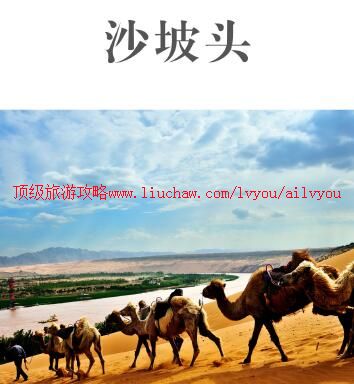 ailvyou915ɳ��ͷ����     ��20Ԫ